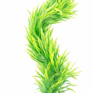 Plastic Plants