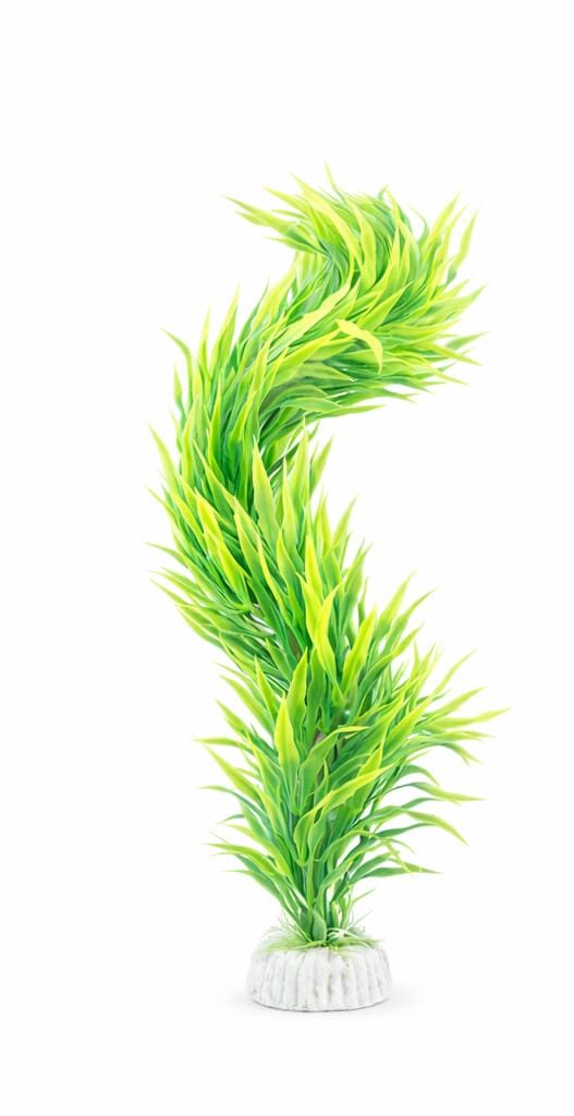 Plastic Plants