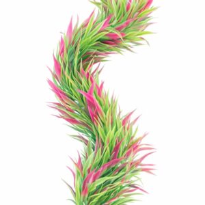 Plastic Plants