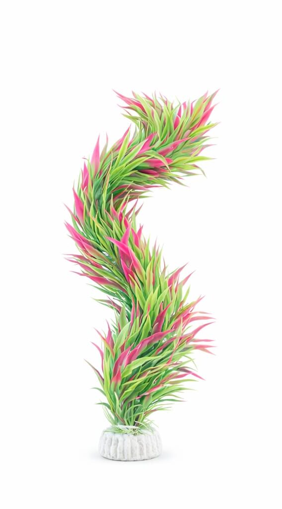 Plastic Plants