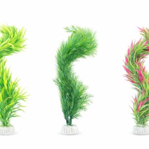Plastic Plants