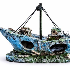 Ship