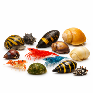 Invertebrates