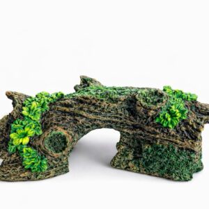 Log